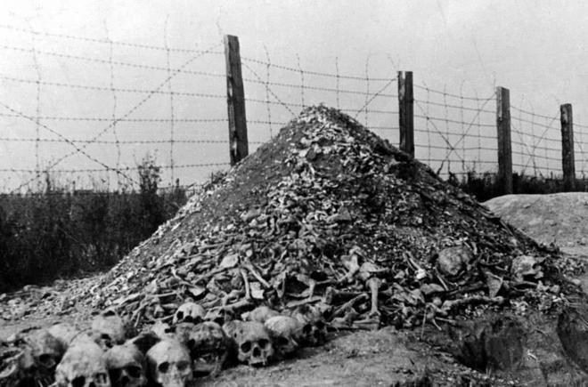 波兰发现超10吨人类骨灰